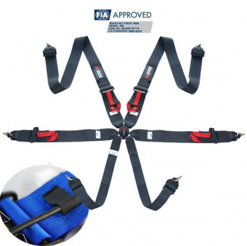 RRS 6 point harness