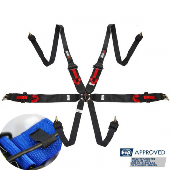 FHR 6-point harness